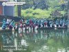 TEBAR BENIH IKAN TAWES DI PONDOK KARANGANOM UMBUL SI KAJAR