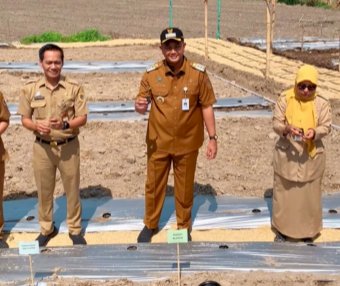 Penyaluran Subsidi Pangan & Penanaman Bibit Bersama Bupati Klaten.