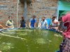 MENGENAL METODE BIOFLOK