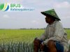 BPJS Ketenagakerjaan untuk Petani