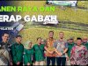 Panen & Serap Gabah Petani 2025, Stabilitas Harga & Ketahanan Pangan