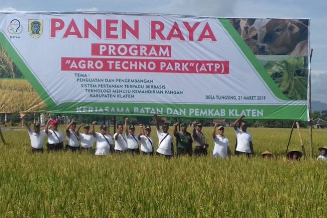 Panen Raya Padi Program Agro Techno Park (ATP) di Klaten