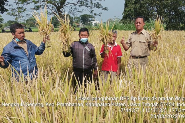 Premi AUTP (Asuransi Usaha Tani Padi)