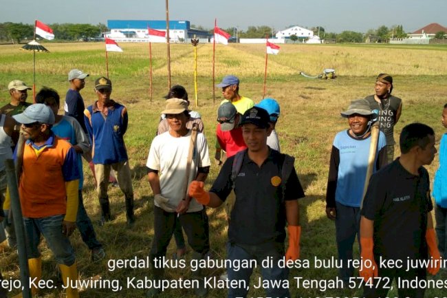 Lomba Gerdal Tikus POPT Kecamatan Juwiring