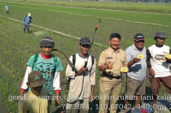 Gerdal OPT dengan beauveria bassiana