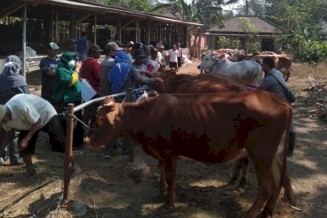 Pelayanan Penanggulangan Kemajiran oleh UPPT DPKPP