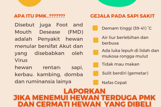 Waspada penyakit PMK (Penyakit Mulut dan Kuku) 