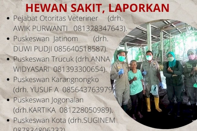 Hewan sakit? Laporkan !!