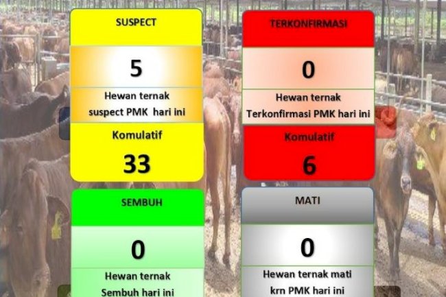 Data Perkembangan Penyakit Mulut dan Kuku di Kabupaten Klaten