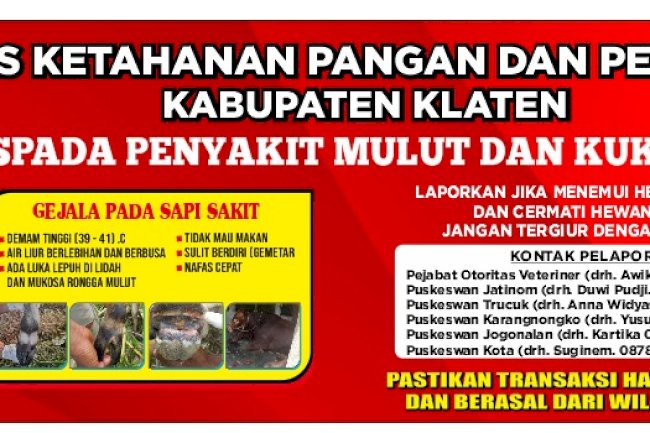 WASPADA..LAPORKAN JIKA ADA PMK !!