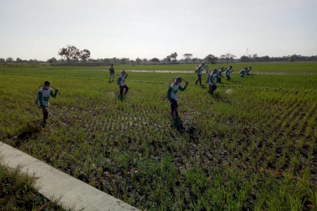 Gerdal WBC DPKPP Klaten