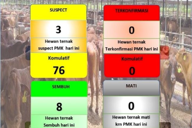 DATA PERKEMBANGAN PMK