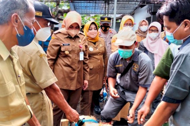 Bupati Klaten Monitoring Pelaksanaan Vaksinasi Antraks