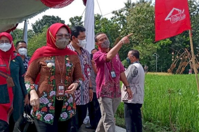 Panen Rojolele Srinuk dalam Rangka Serah Terima SK PVT Rojolele Srinar dan Rojolele Srinuk