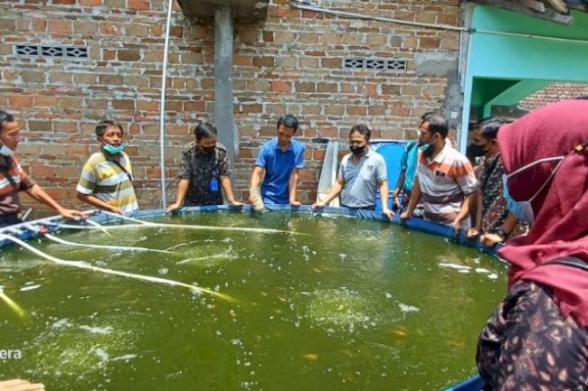 MENGENAL METODE BIOFLOK