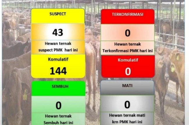 DATA PERKEMBANGAN PMK, Selasa, 31 Mei 2022
