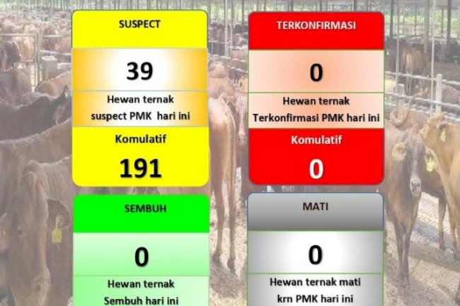 Data PMK per Kamis, 02 Juni 2022