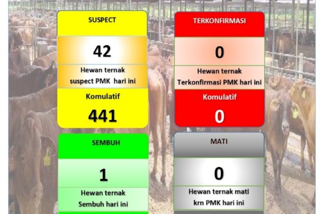 update PMK, Minggu, 05 juni 2022
