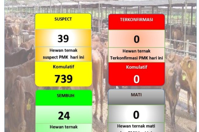 update PMK, Selasa, 14 juni 2022