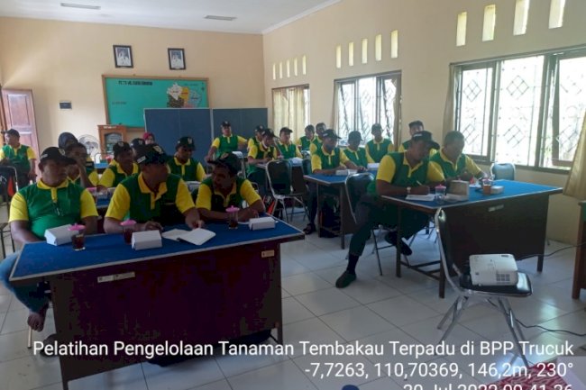 NGUDOROSO PETANI TEMBAKAU KLATEN,  AGAR PETANI TEMBAKAU MAKIN SEJAHTERA