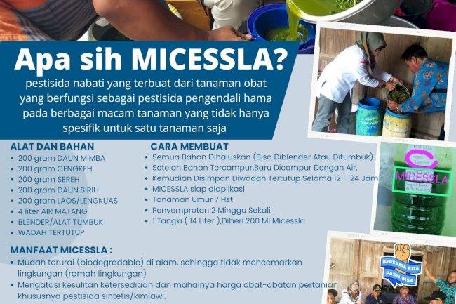 Tinggalkan PESTISIDA Kimia, ganti dengan MICESSLA