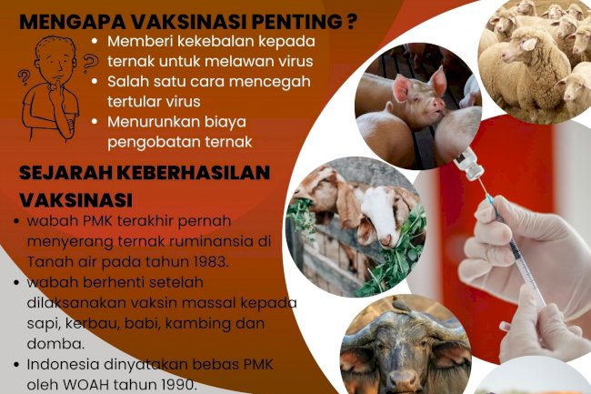 Lindungi Ternak dengan Vaksin
