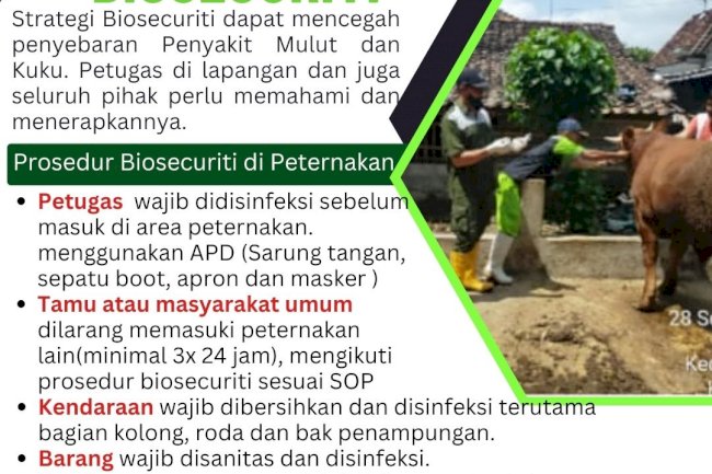 Biosecuriti untuk pencegah PMK
