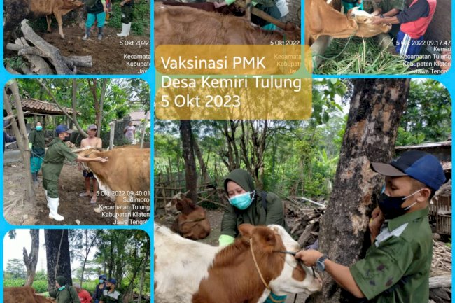 Giat vaksinasi PMK DKPP Klaten