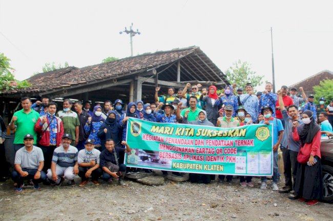 Penandaan dan Pendataan Ternak di Prambanan