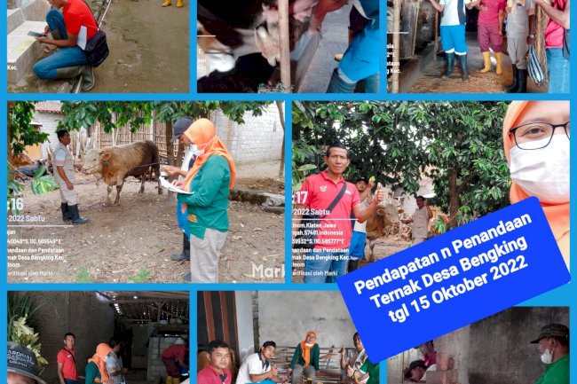 Giat Sabtu Semangaat Penandaan Ternak oleh DKPP