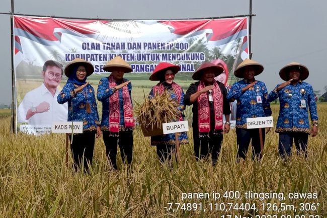 Kegiatan olah tanah dan panen di kecamatan Cawas