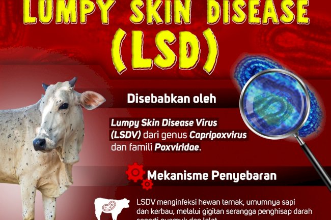 Mekanisme Penyebaran LSD (Lumpy Skin Disease) pada ternak