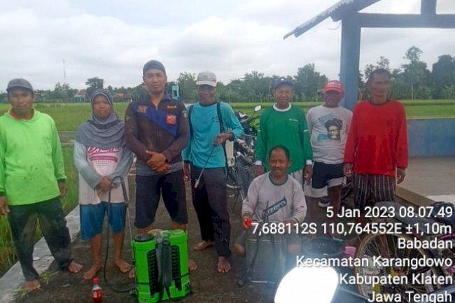 MEWASPADAI HAMA PENGGEREK BATANG PADA PADI