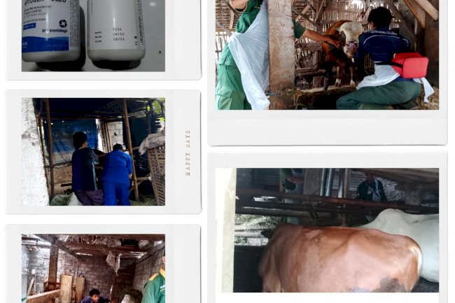 Giat Vaksin PMK 25 Januari 2023