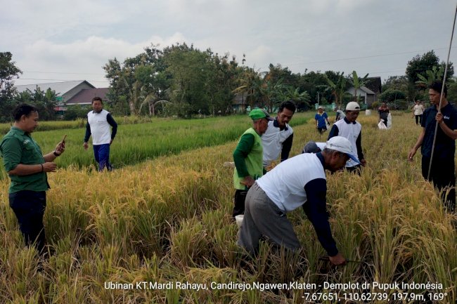 Kegiatan PPL DKPP  Klaten