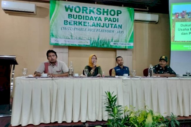 Produksi Beras di Klaten Surplus