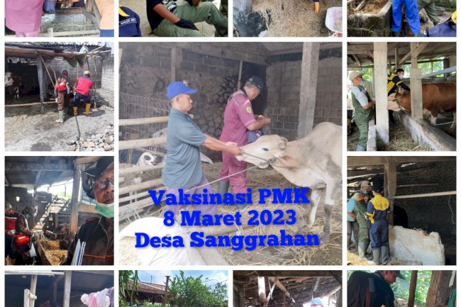 Vaksinasi PMK Puskeswan 08 Maret 2023