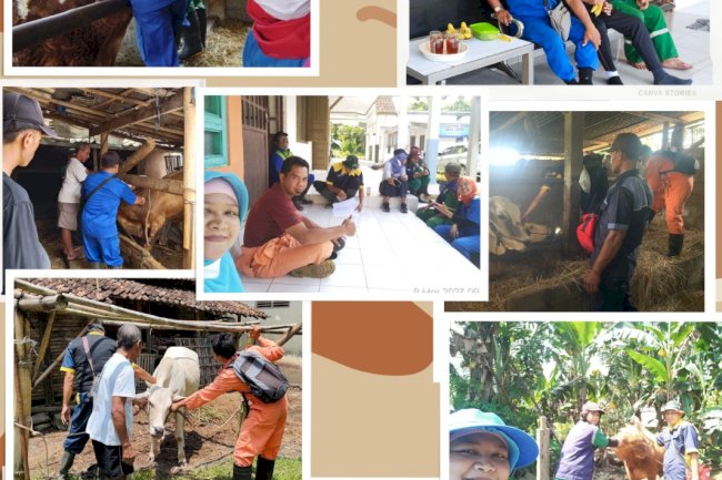 Penandaan dan Pendataan ternak tim Pemburu Pedet