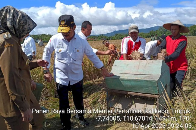 Panen Raya Padi, Mentan Canangkan Klaten Sebagai Kabupaten Percontohan Program IP 400