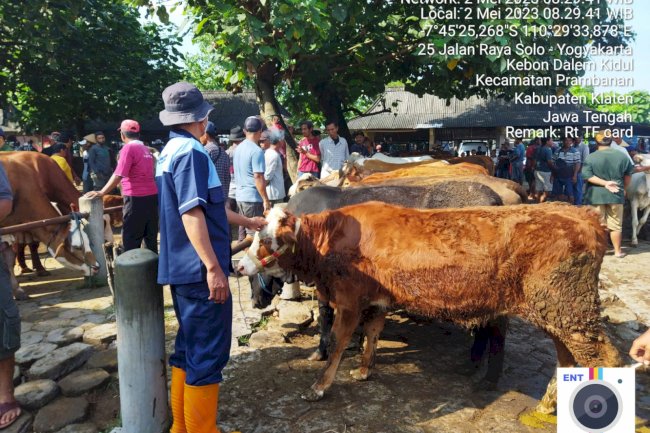 Pelayanan Keswanling di Pasar hewan Prambanan