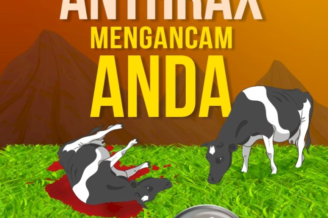 Waspada Anthrax, berikut cara penangananya