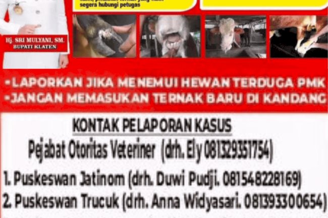 Ada Gejala PMK? hubungi petugas ini