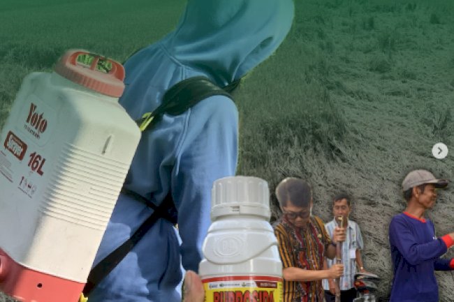 GERDAL WBC DI DESA GENTAN, GANTIWARNO