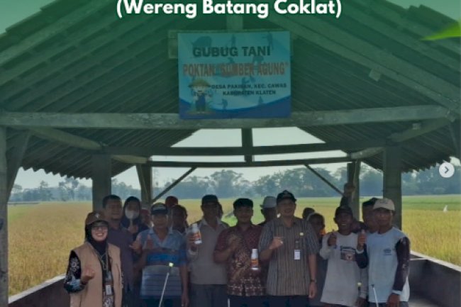 Gerakan Pengendalian WBC (Wereng Batang Coklat)