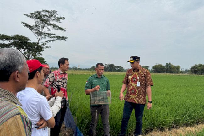 Inovasi Trap Barrier System di Karanganom