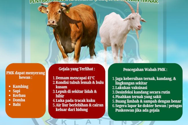 Waspada Penyakit Mulut dan Kuku (PMK) pada Hewan Ternak