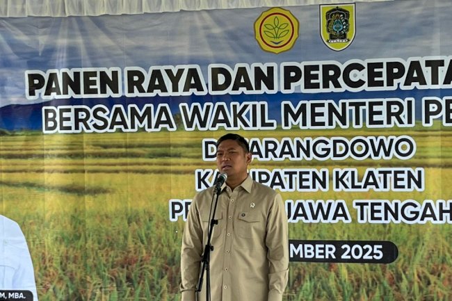 Panen Raya dan Percepatan Tanam Bersama Wakil Menteri Pertanian Bapak Sudaryono di Kecamatan Karangdowo, Klaten