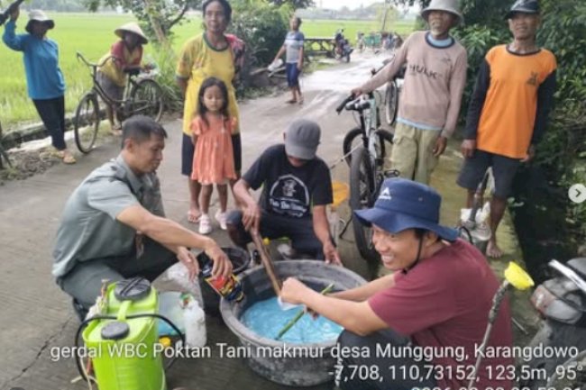 Gerakan Pengendalian Wereng Batang Coklat (WBC) di Desa Munggung
