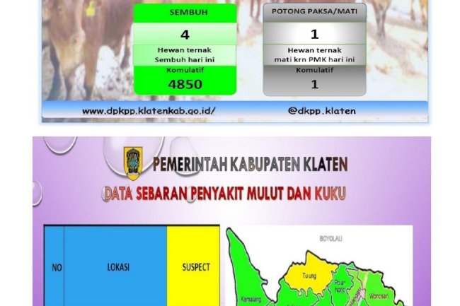 Perkembangan Kasus PMK tgl 02 Maret 2026