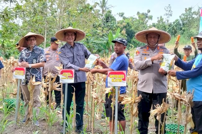 KEPALA DKPP KLATEN MENDAMPINGI KAPOLRES PANEN RAYA JAGUNG SERENTAK KUARTAL II